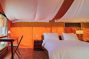 Saser Scenic Pangong