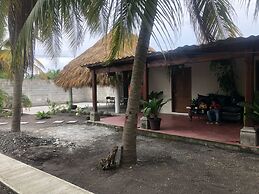 Birds House, Puerto San Jose