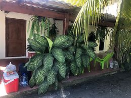 Birds House, Puerto San Jose