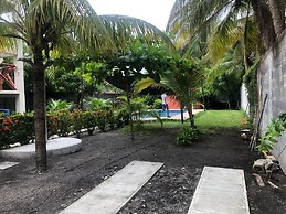 Birds House, Puerto San Jose