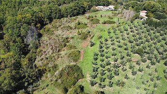 Agriturismo Li Guira