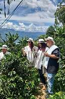 Don leandro Coffee farm  Glamping