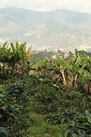 Don leandro Coffee farm  Glamping