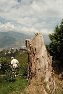 Don leandro Coffee farm  Glamping