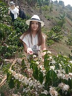 Don leandro Coffee farm  Glamping