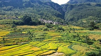 Zhensu Canyon Sanctuary