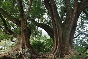 Zhensu Canyon Sanctuary