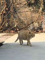 The Village Library Inn