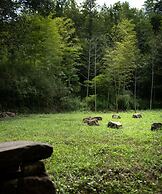 The Village Library Inn