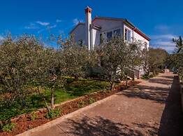 Seaside Oasis Apartments on Island Ugljan