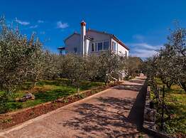Seaside Oasis Apartments on Island Ugljan