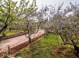 Seaside Oasis Apartments on Island Ugljan