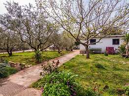 Seaside Oasis Apartments on Island Ugljan