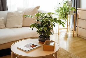 Darling Street Residence