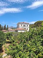 Samos Tropic Apartments