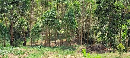 Kamengo cottages
