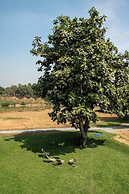 Akara House Sukhothai