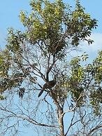 Secret Beach Cabanas