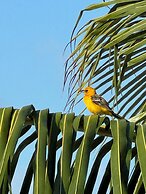 Secret Beach Cabanas