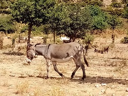 Sardinian Villa Enjoy Stintino With Your Pets !