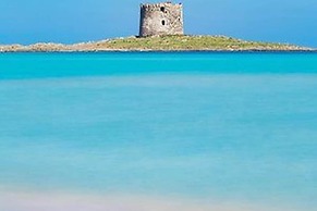 Sardinian Villa Enjoy Stintino With Your Pets !