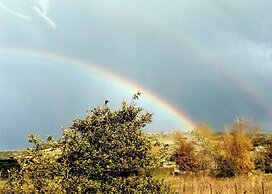 Sardinian Villa Enjoy Stintino With Your Pets !