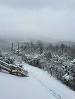 Ultimate Gatlinburg Getaway