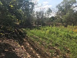 Snehban Agro Farm Resort