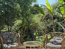 Olga's Sea View Studios -500m from Ipsos