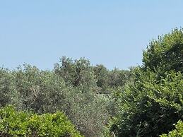 Olga's Sea View Studios -500m from Ipsos