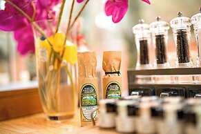 Vaticano 13 guesthouse