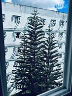 Smart Stay 2600 - Studio Apartments