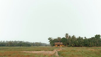 Kirindi Paddy Isle