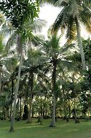 Kirindi Paddy Isle