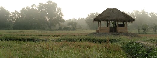Kirindi Paddy Isle