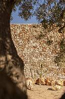 Botanico Villa & Suites