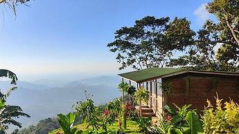 Minca Sintropia Organic Coffee Finca