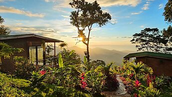 Minca Sintropia Organic Coffee Finca