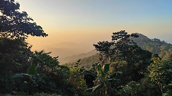 Minca Sintropia Organic Coffee Finca