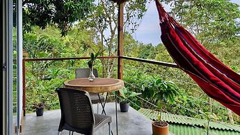 Minca Sintropia Organic Coffee Finca