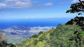 Minca Sintropia Organic Coffee Finca