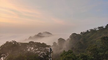 Minca Sintropia Organic Coffee Finca