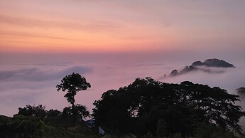 Minca Sintropia Organic Coffee Finca
