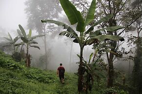 Minca Sintropia Organic Coffee Finca