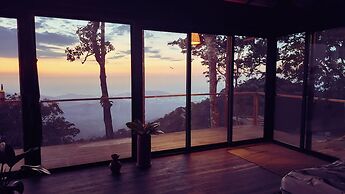 Minca Sintropia Organic Coffee Finca