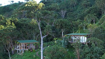 Minca Sintropia Organic Coffee Finca