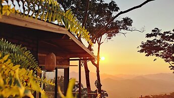 Minca Sintropia Organic Coffee Finca