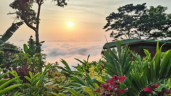 Minca Sintropia Organic Coffee Finca