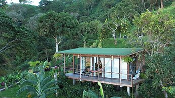 Minca Sintropia Organic Coffee Finca