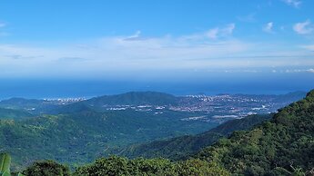 Minca Sintropia Organic Coffee Finca